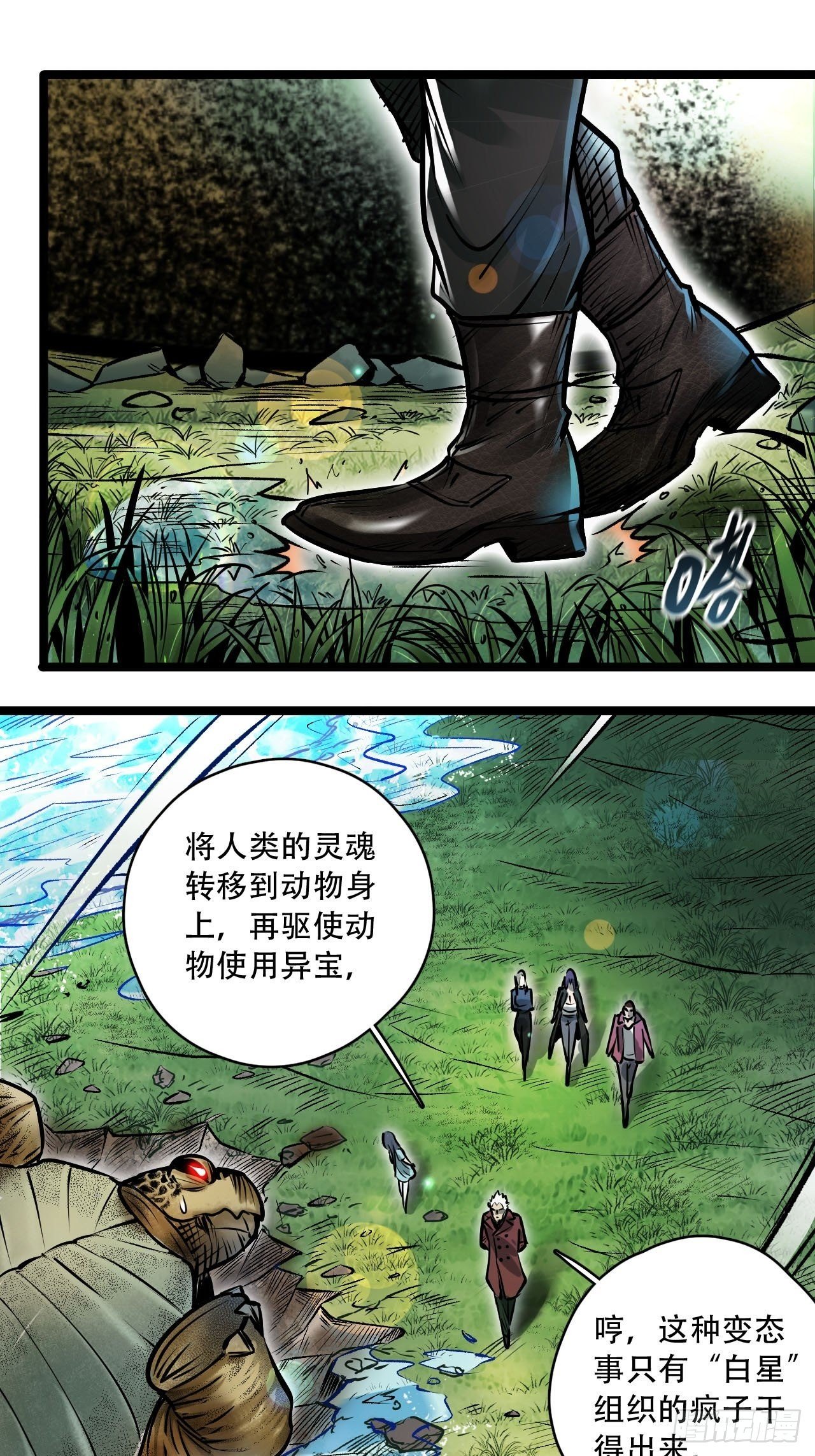 17.jpg