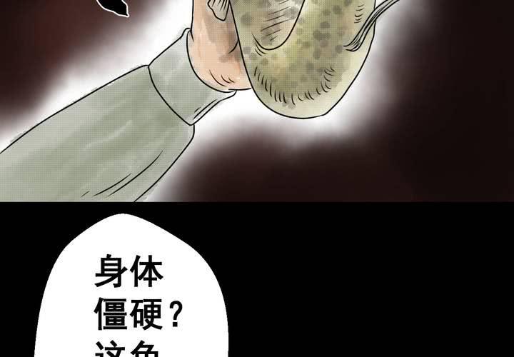 48.jpg