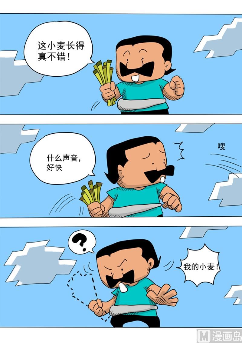 6.jpg