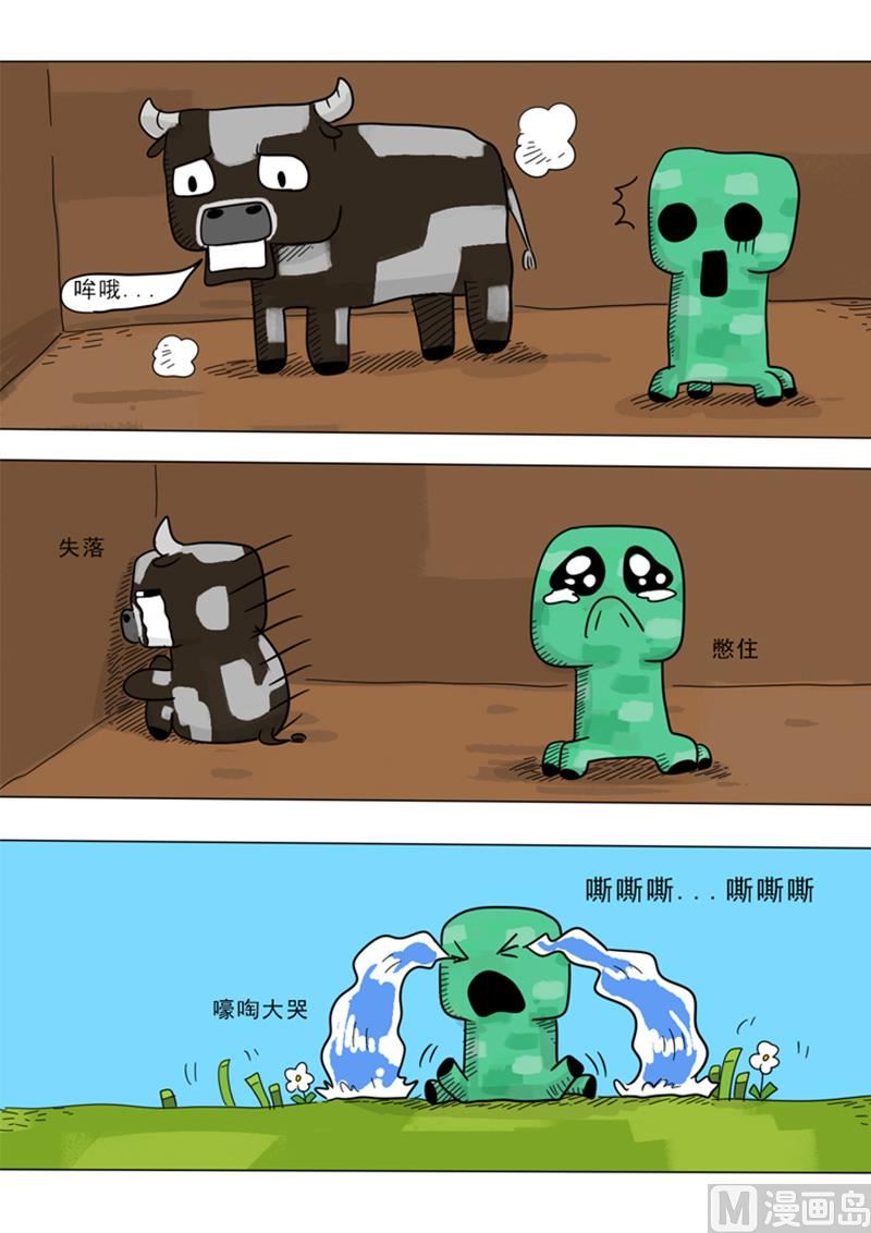 5.jpg
