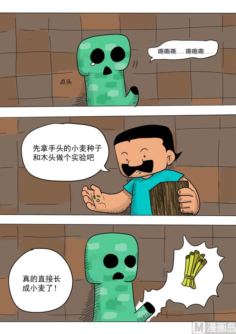 8.jpg