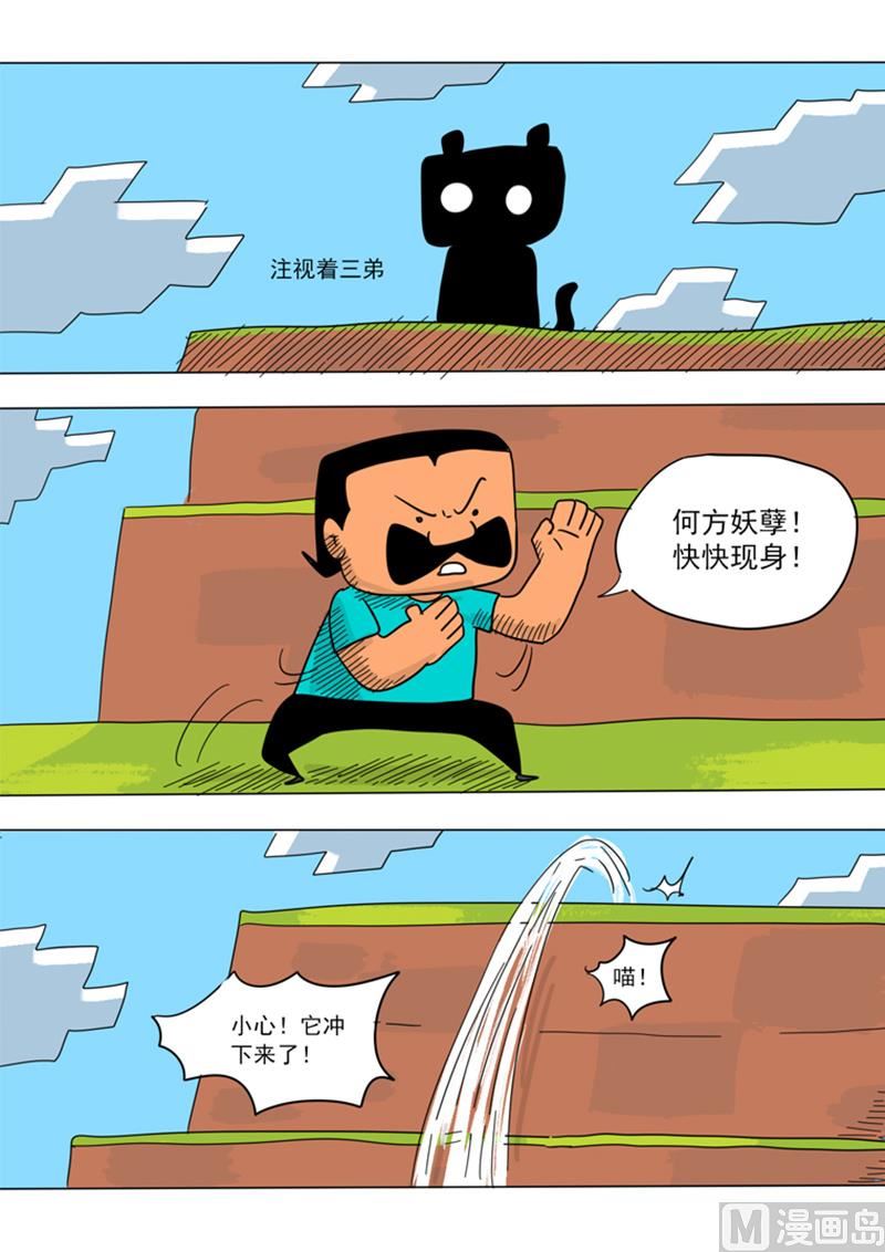 5.jpg