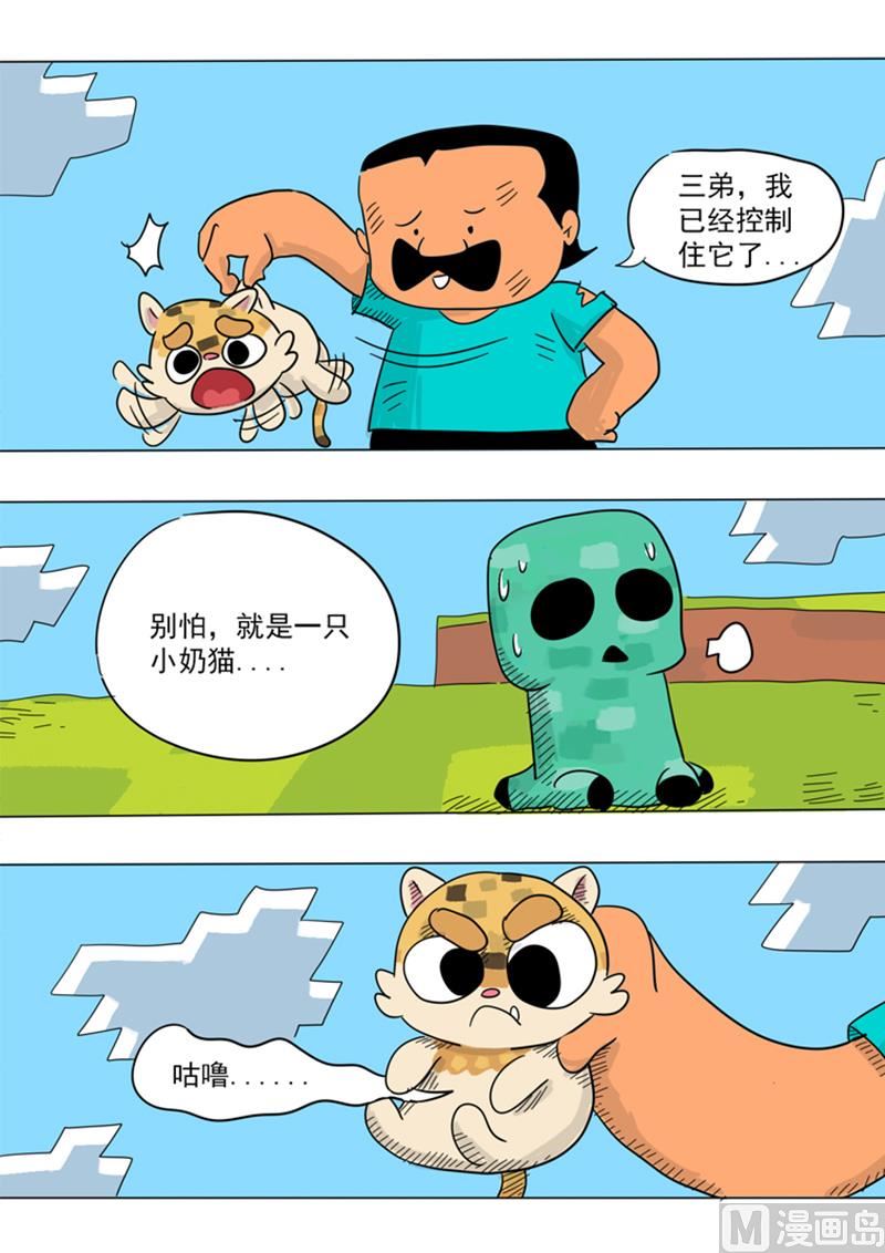 8.jpg