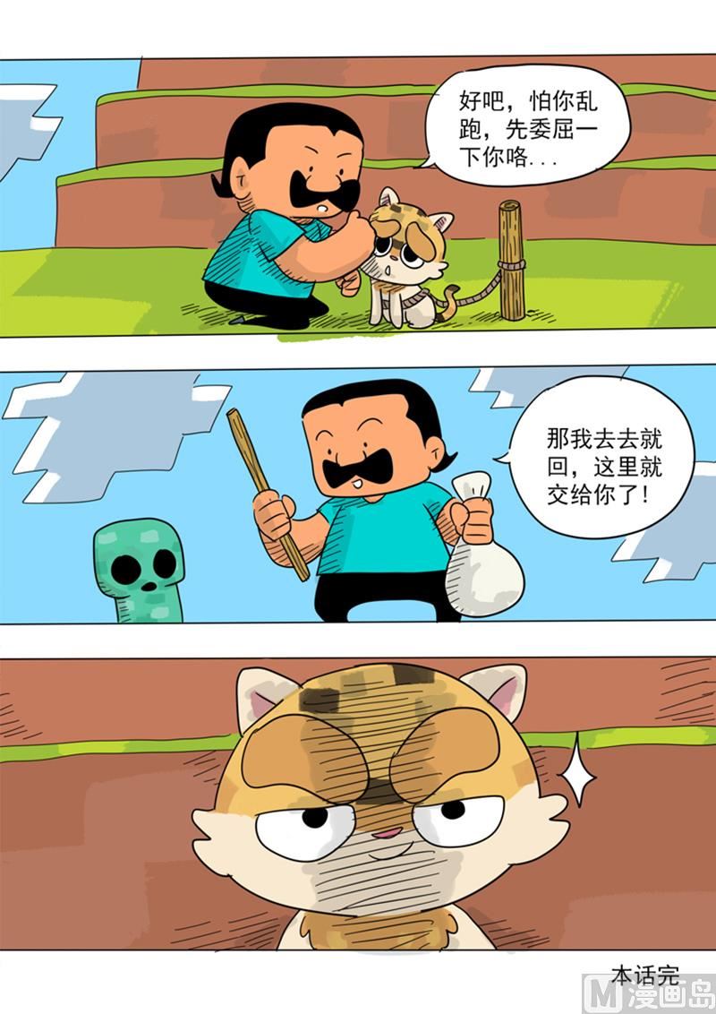 10.jpg