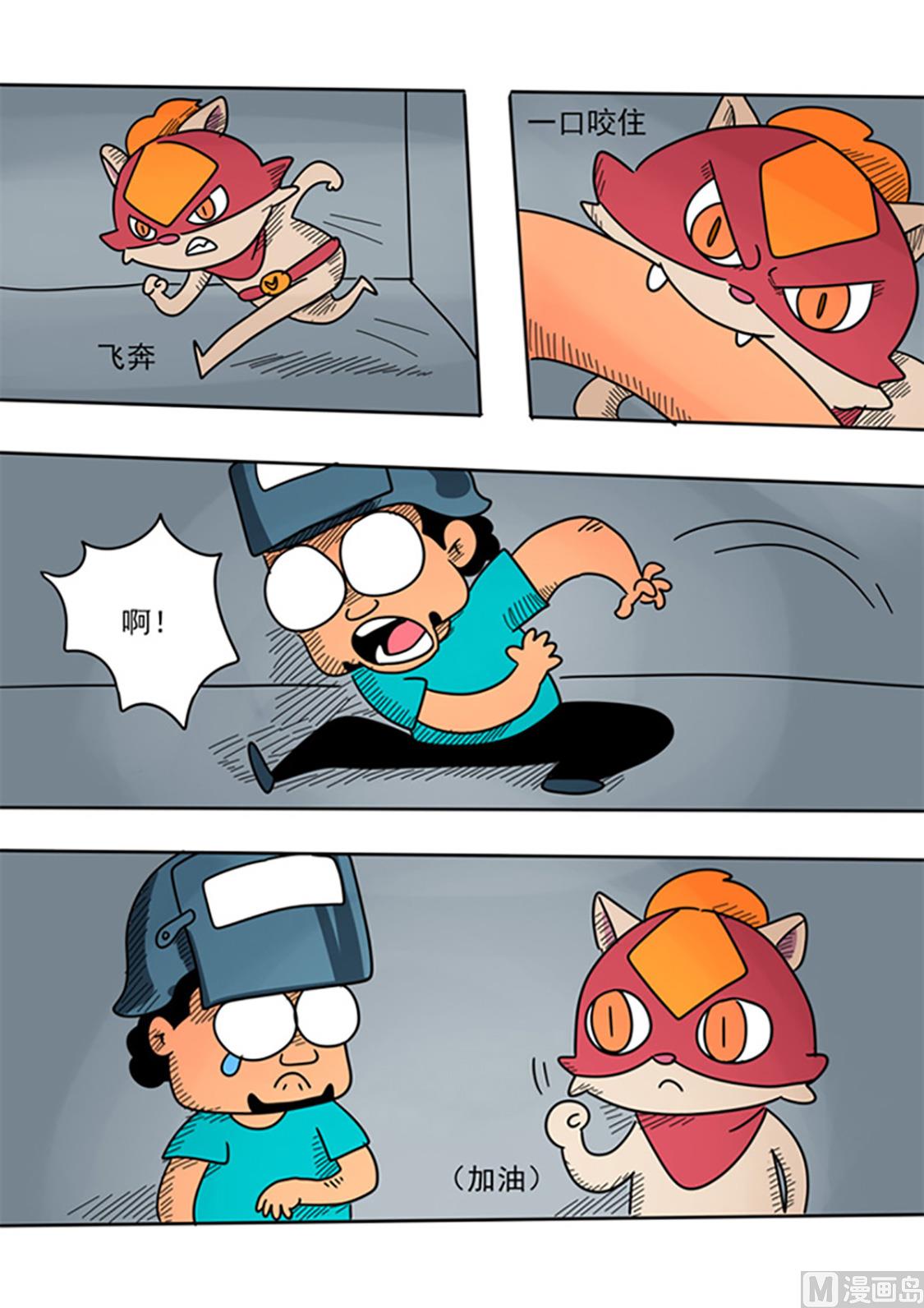 8.jpg