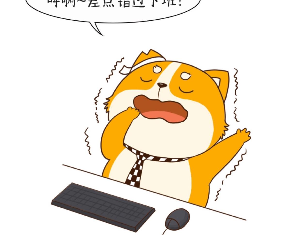 41.jpg