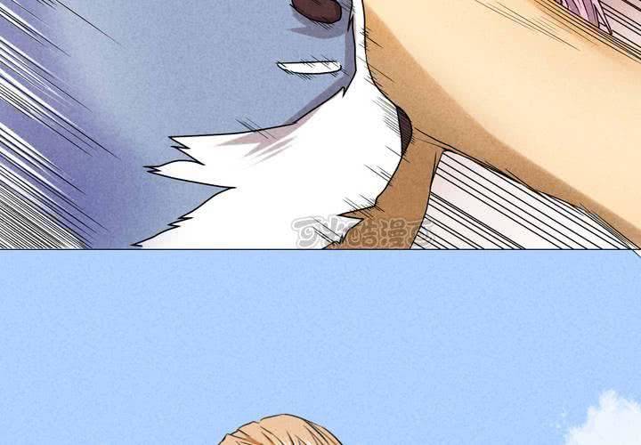 41.jpg