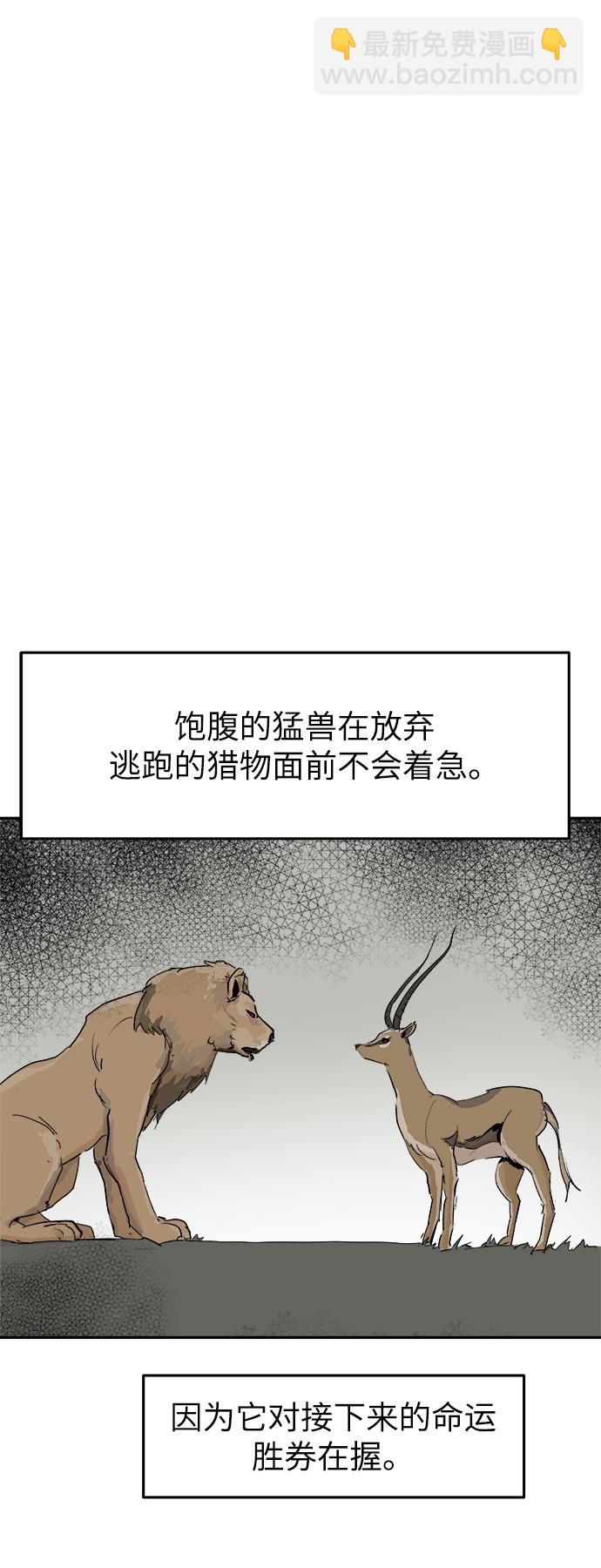 17.jpg