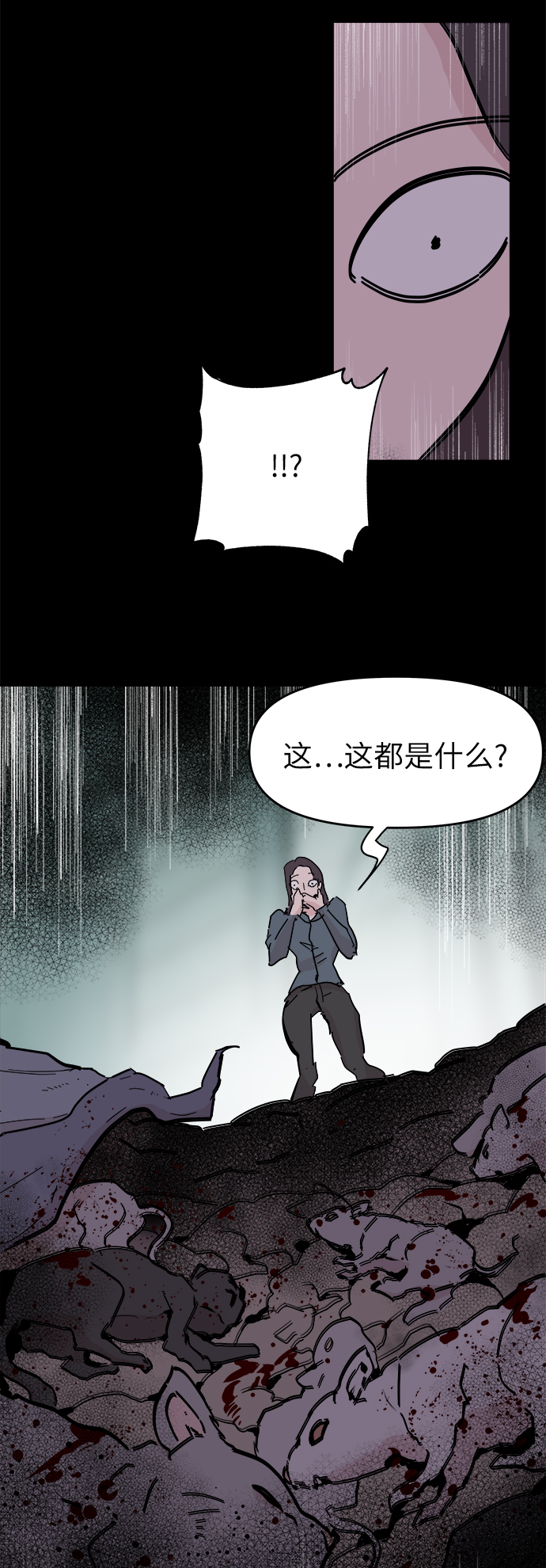 40.jpg