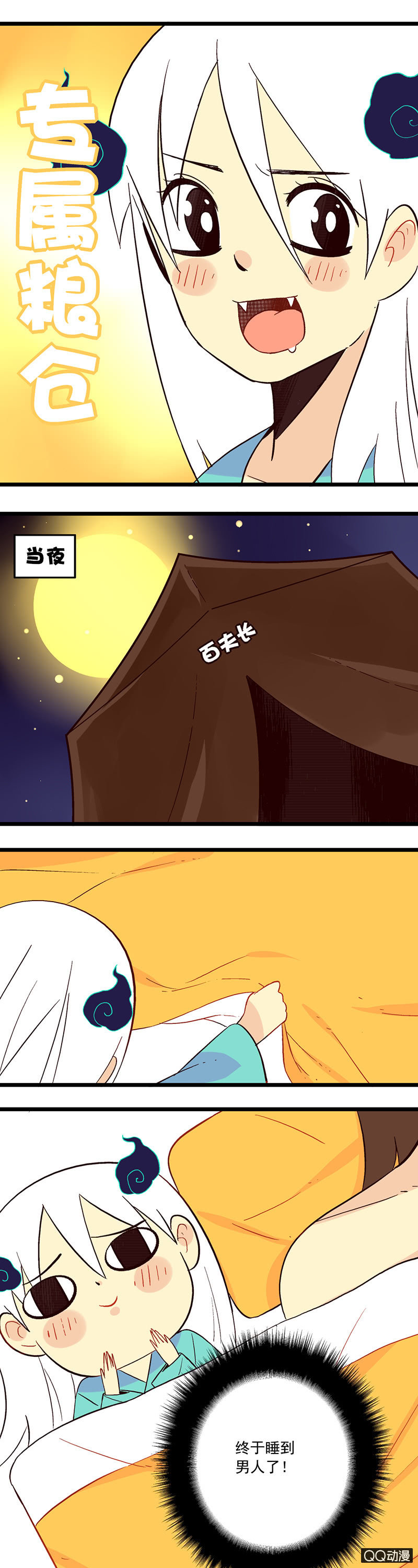 15.jpg