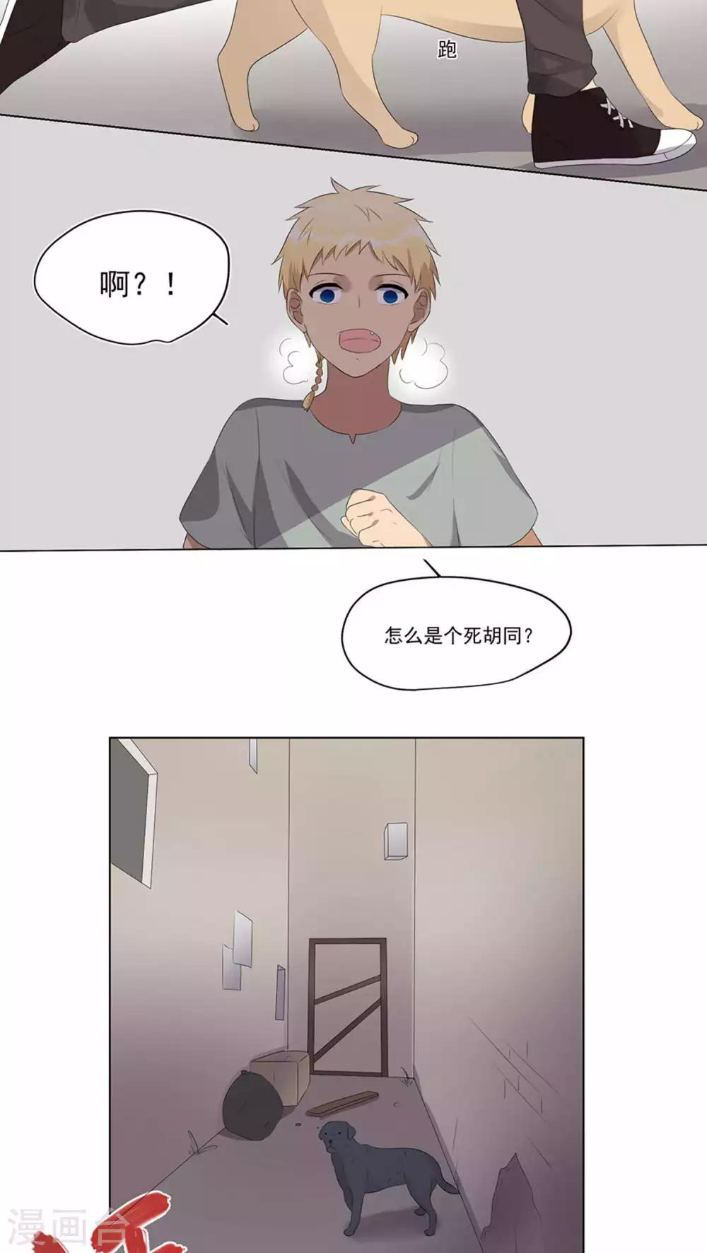 15.jpg