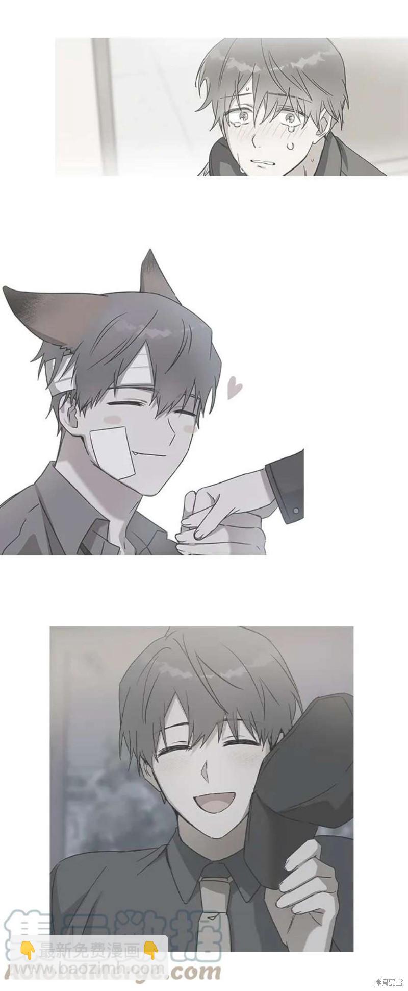 33.jpg