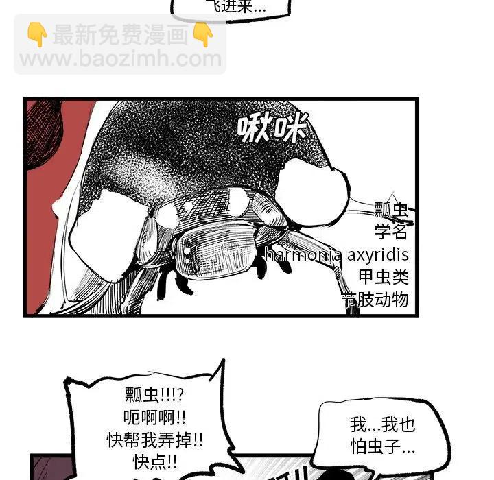 38.jpg