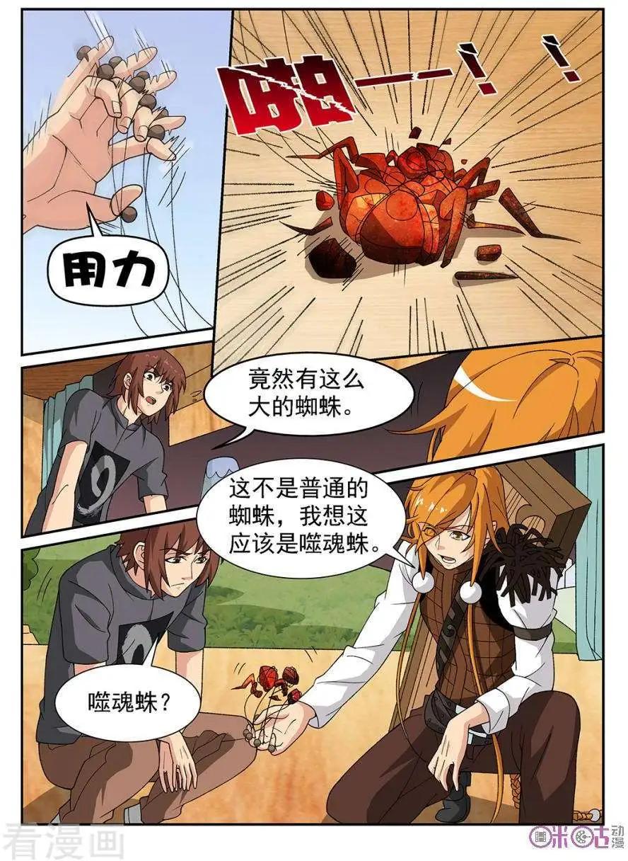 11.jpg