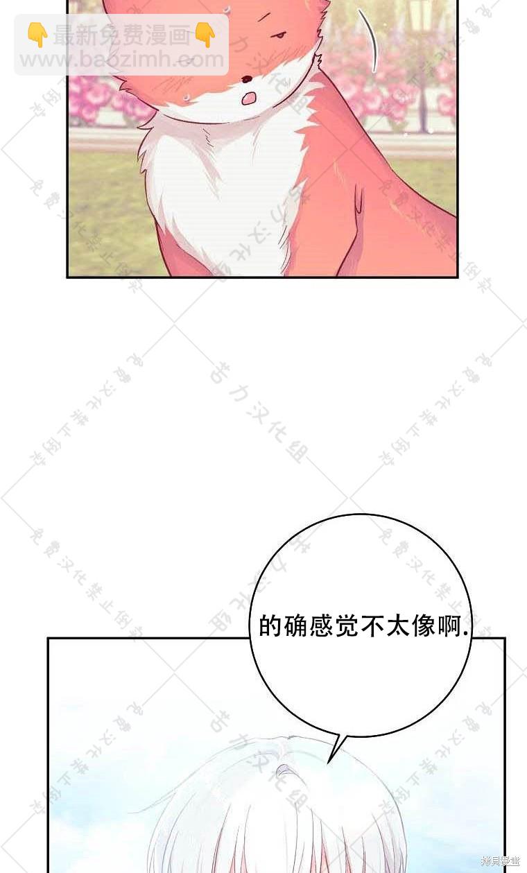 21.jpg