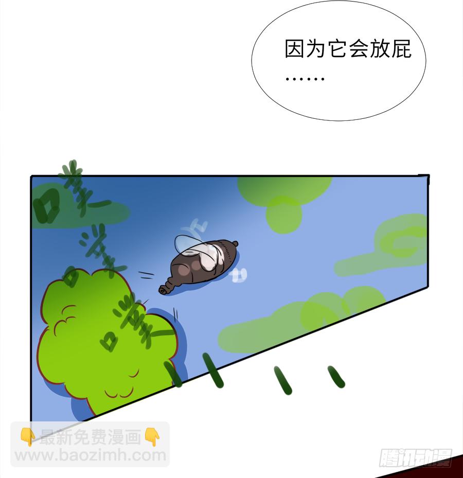 47.jpg