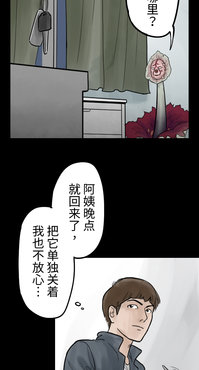 31.jpg
