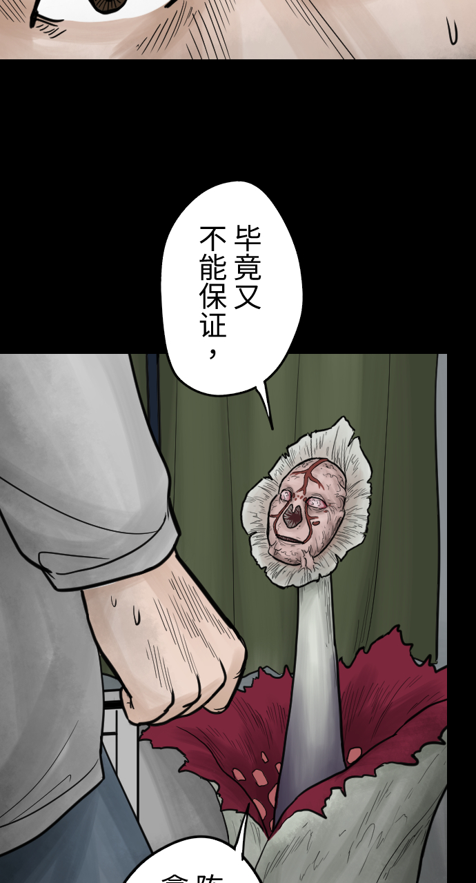 27.jpg
