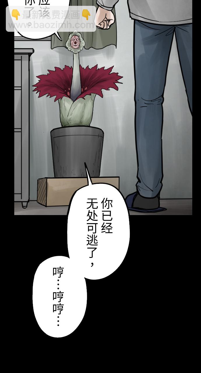 29.jpg