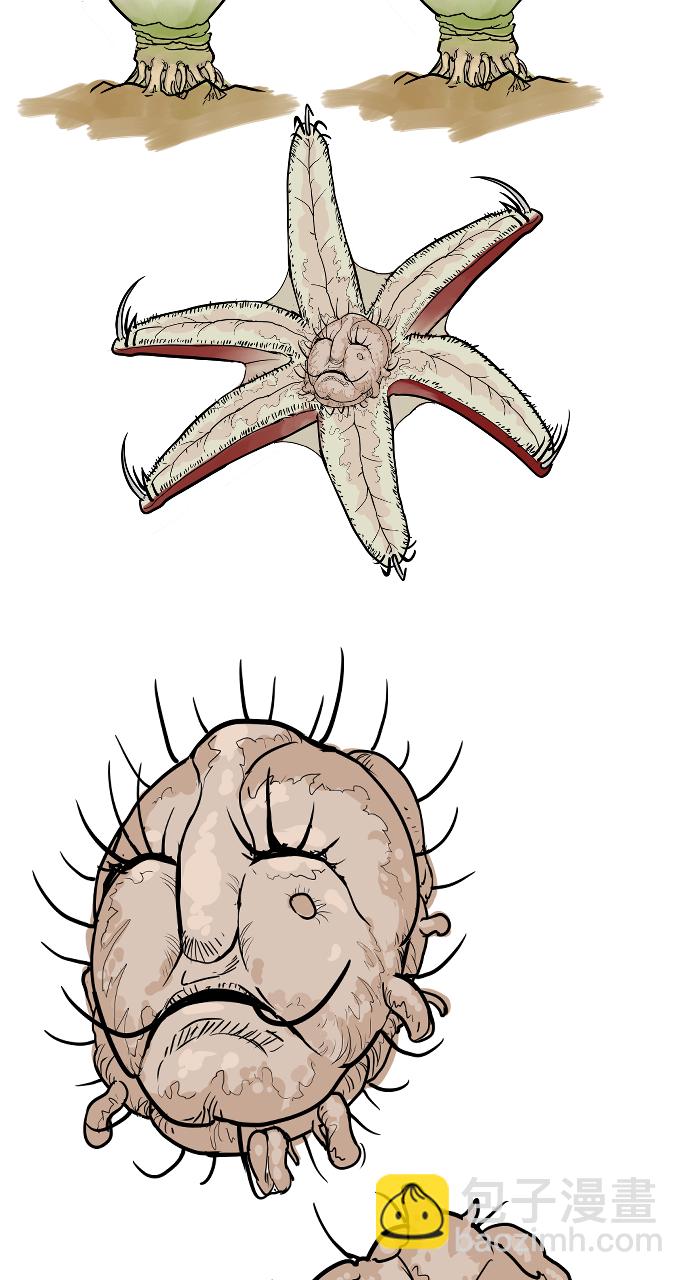 15.jpg