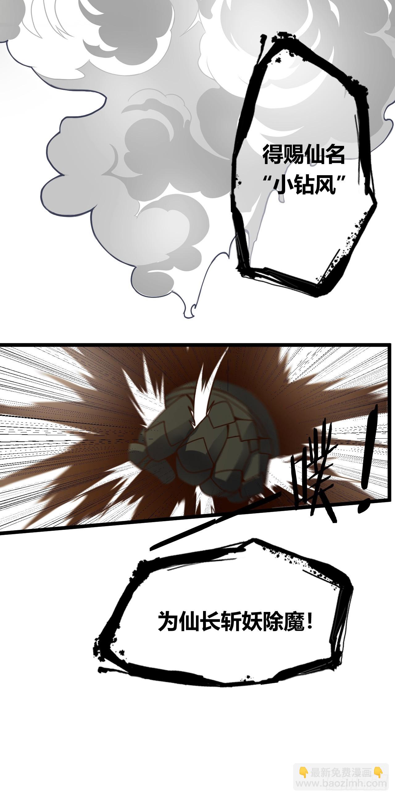 29.jpg