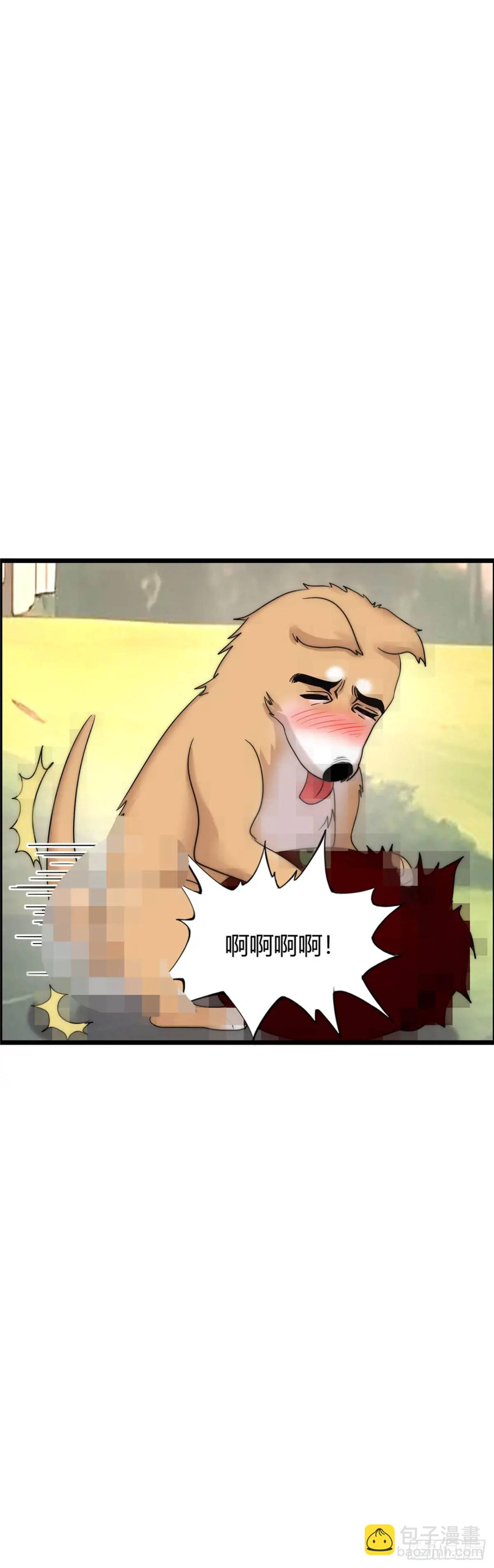 41.jpg