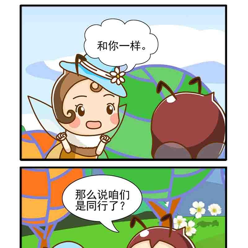 11.jpg