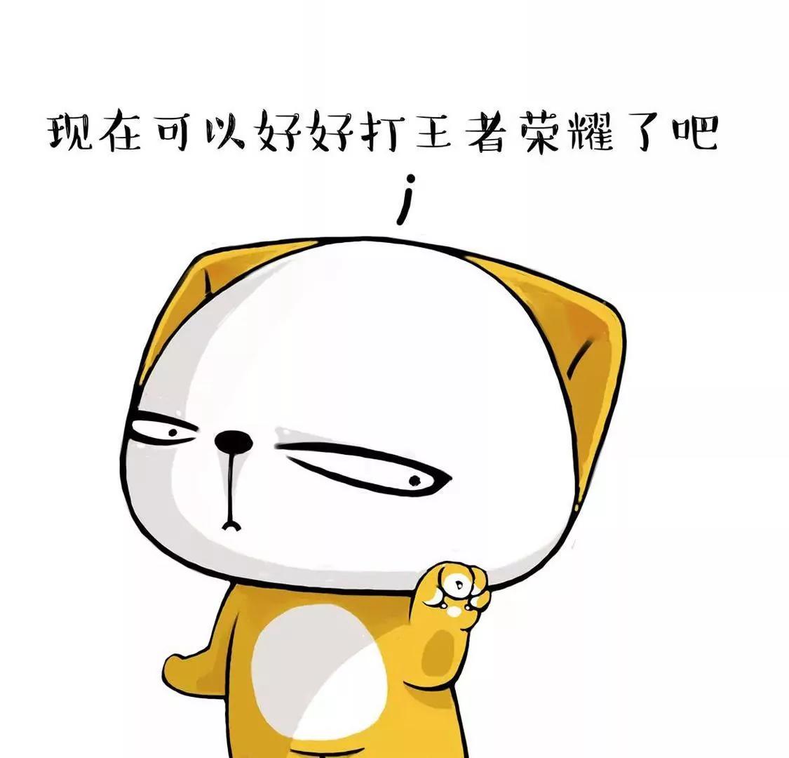 19.jpg