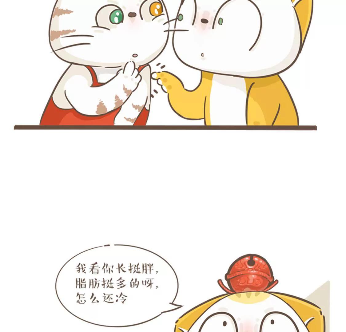 17.jpg