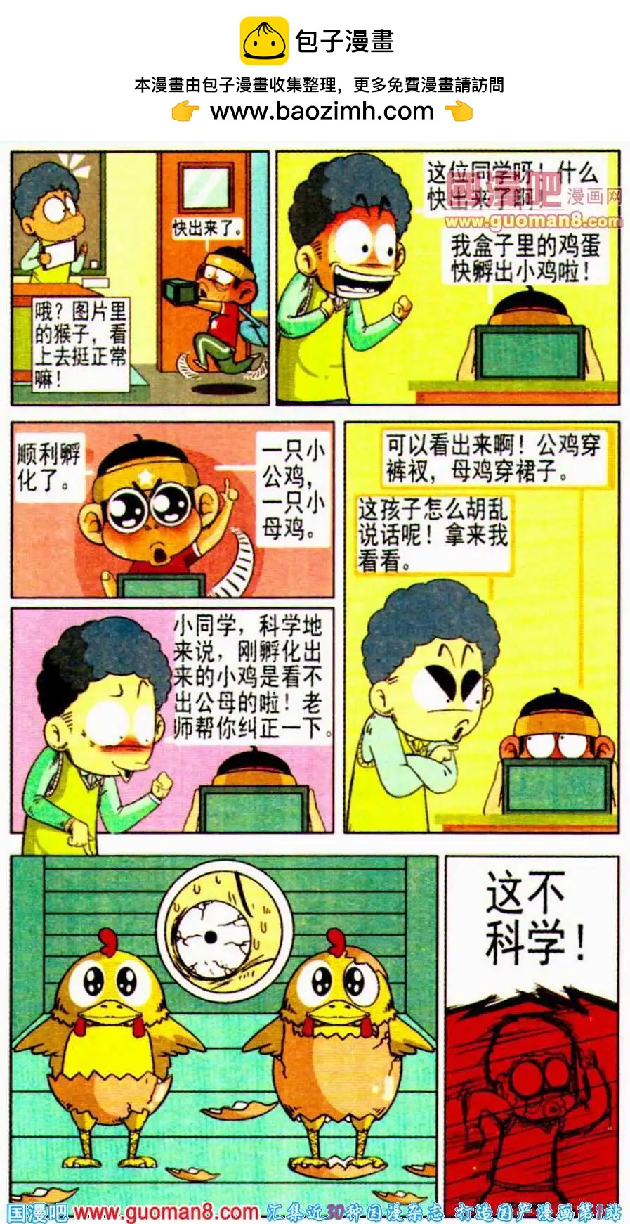 5.jpg