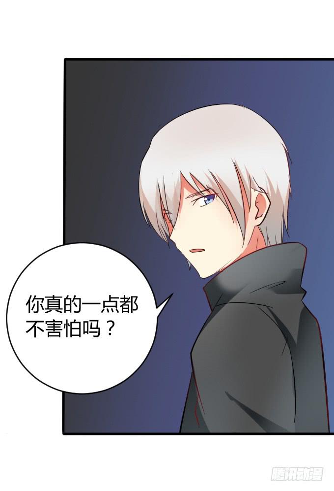 27.jpg