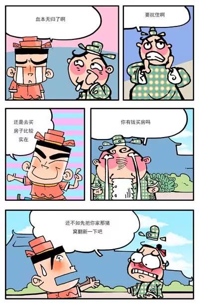 13.jpg