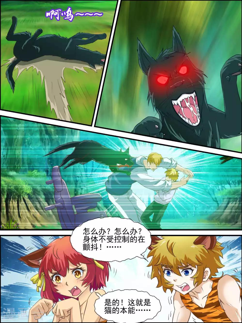 5.jpg