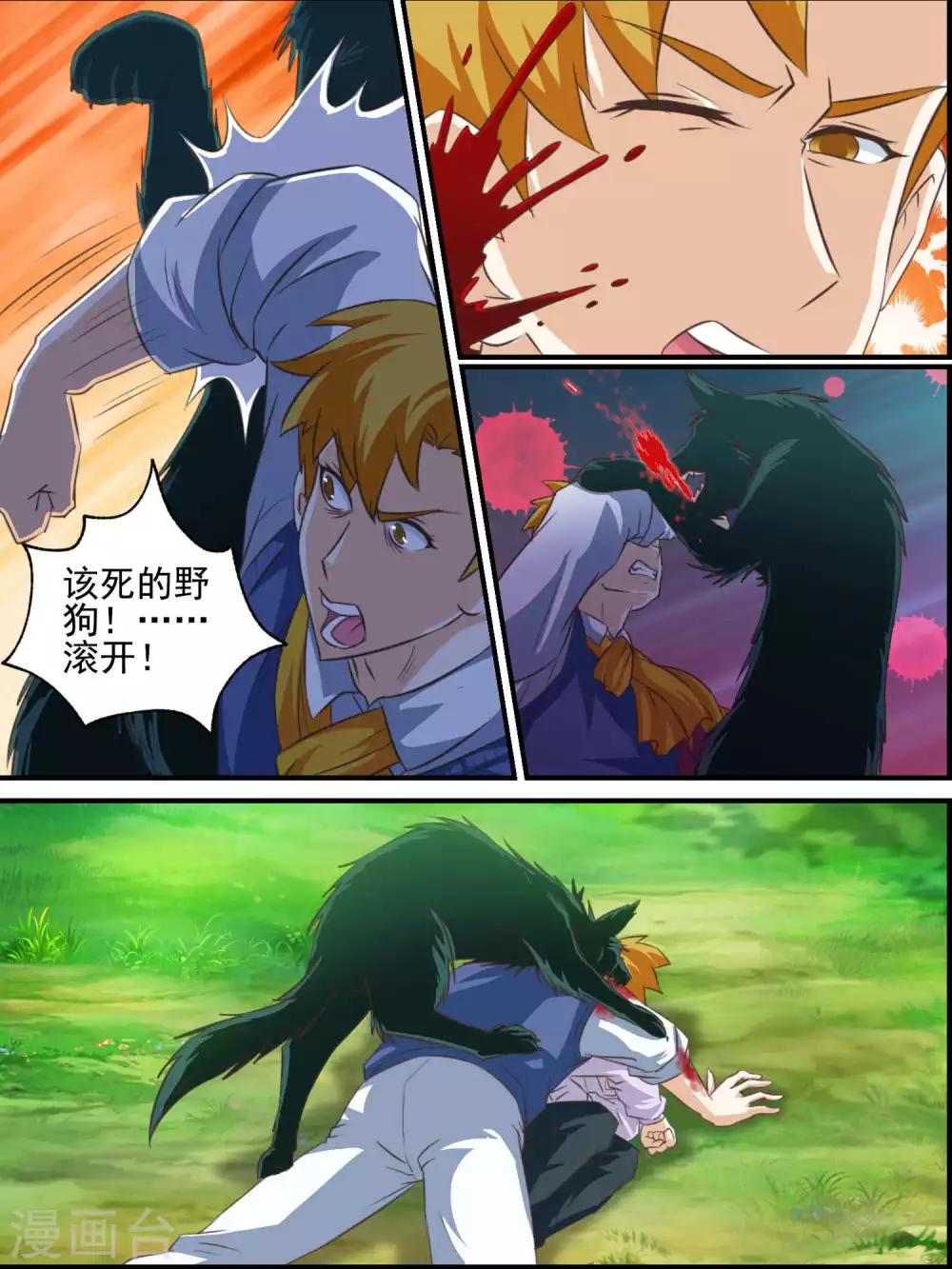 6.jpg