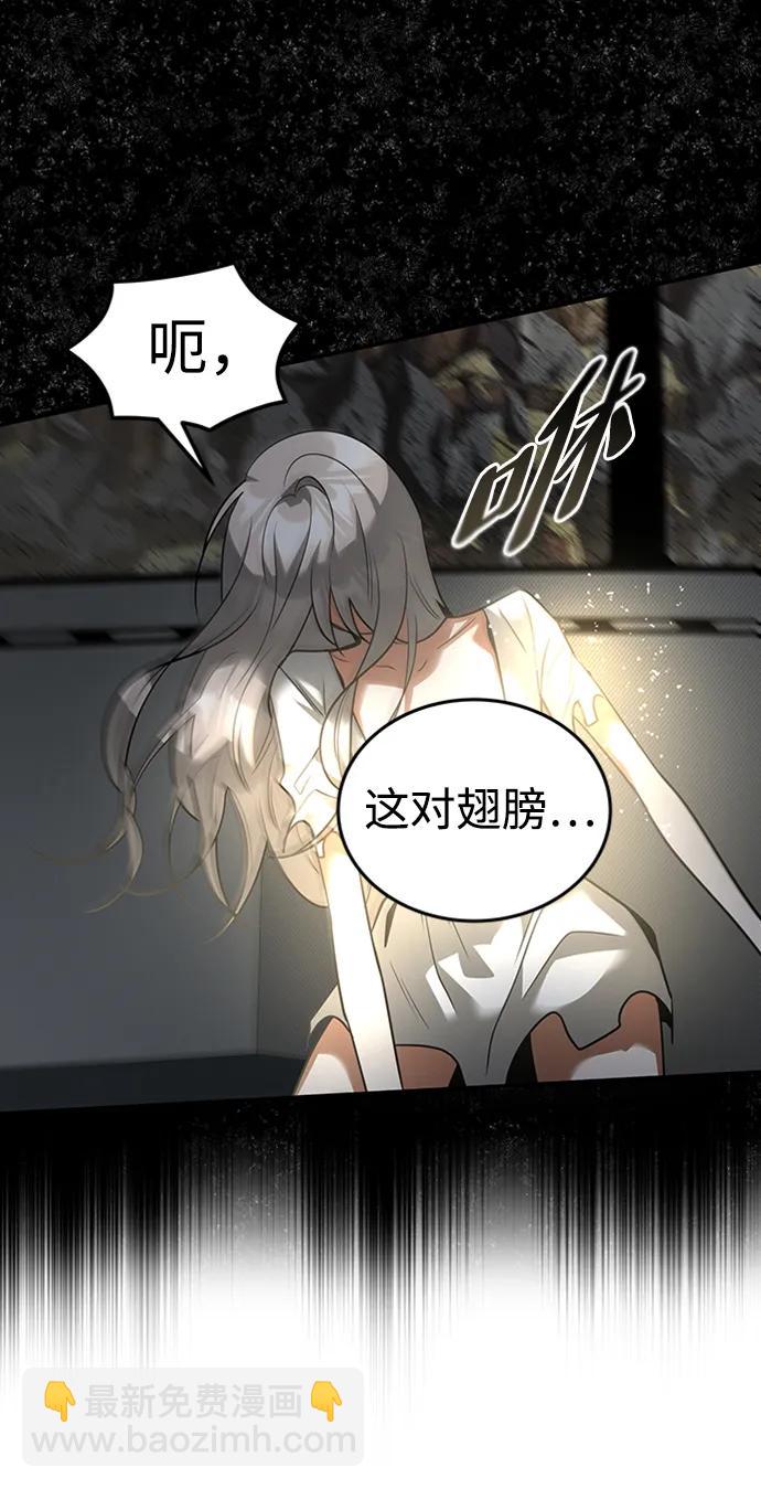 41.jpg
