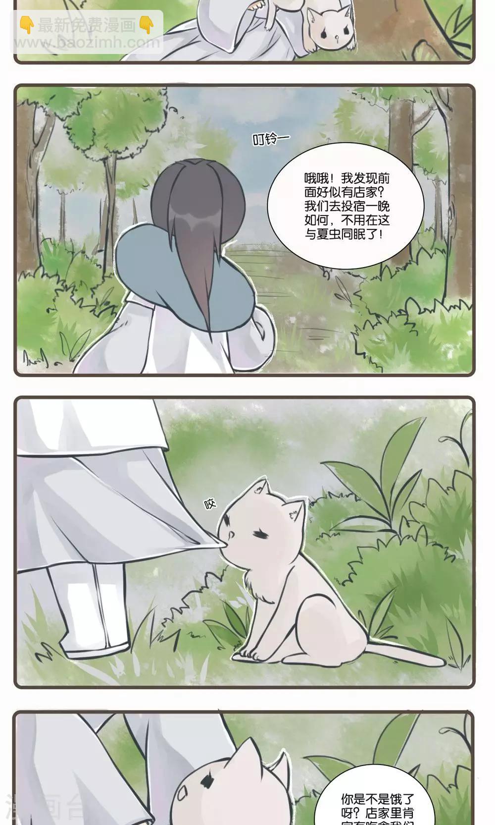 12.jpg