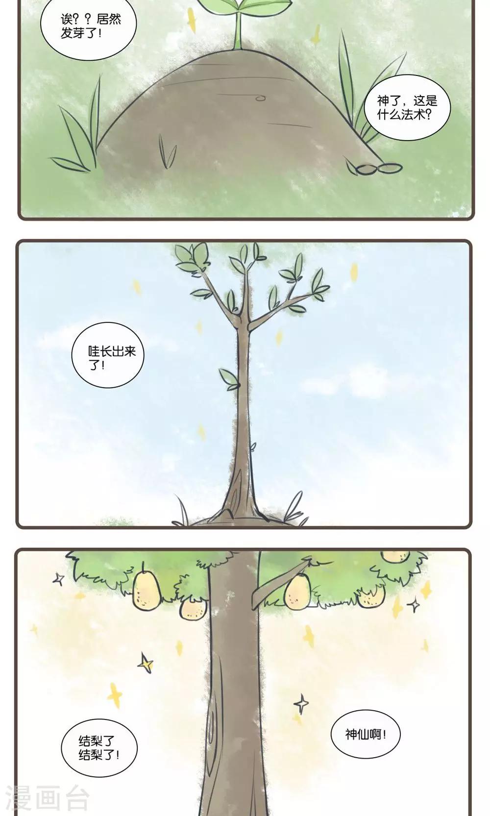 16.jpg