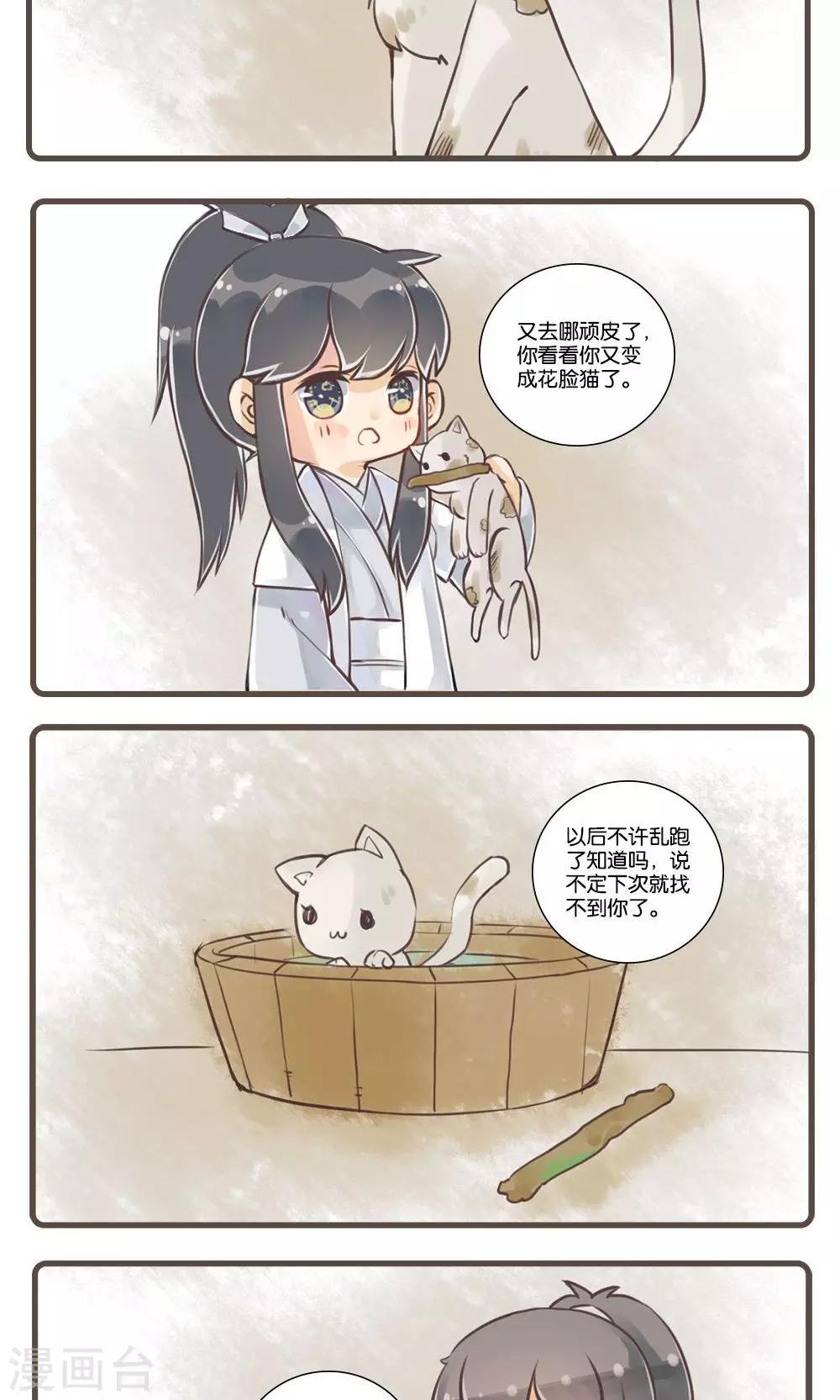 6.jpg