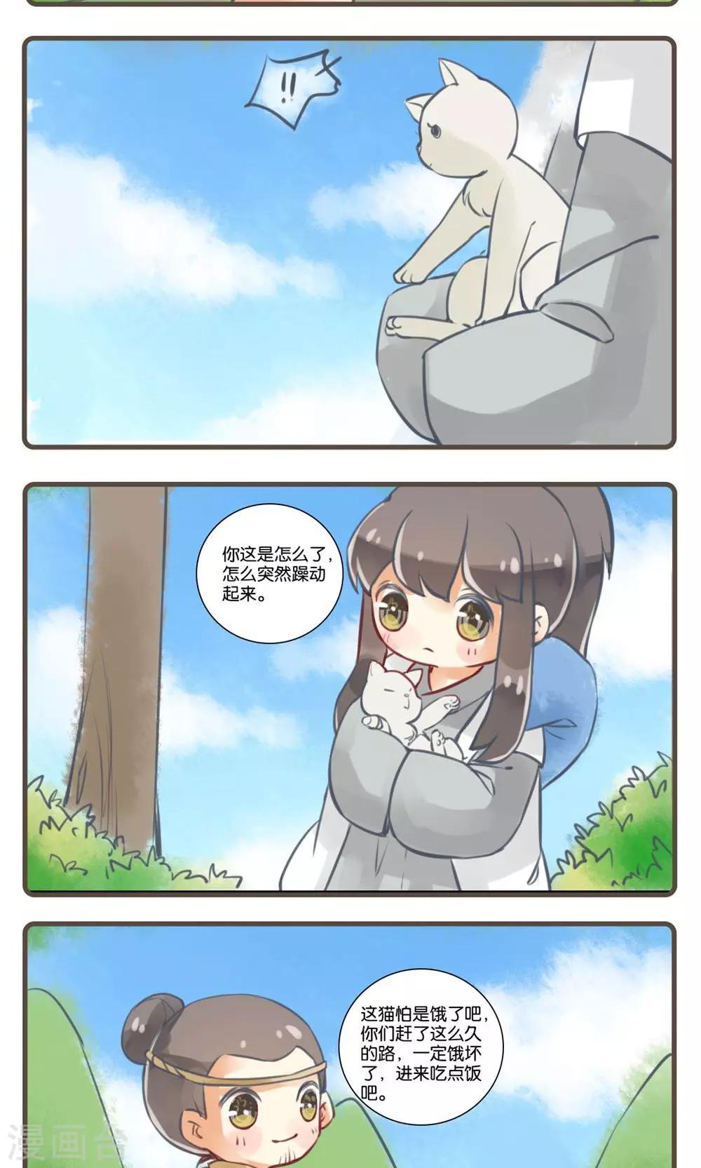 11.jpg