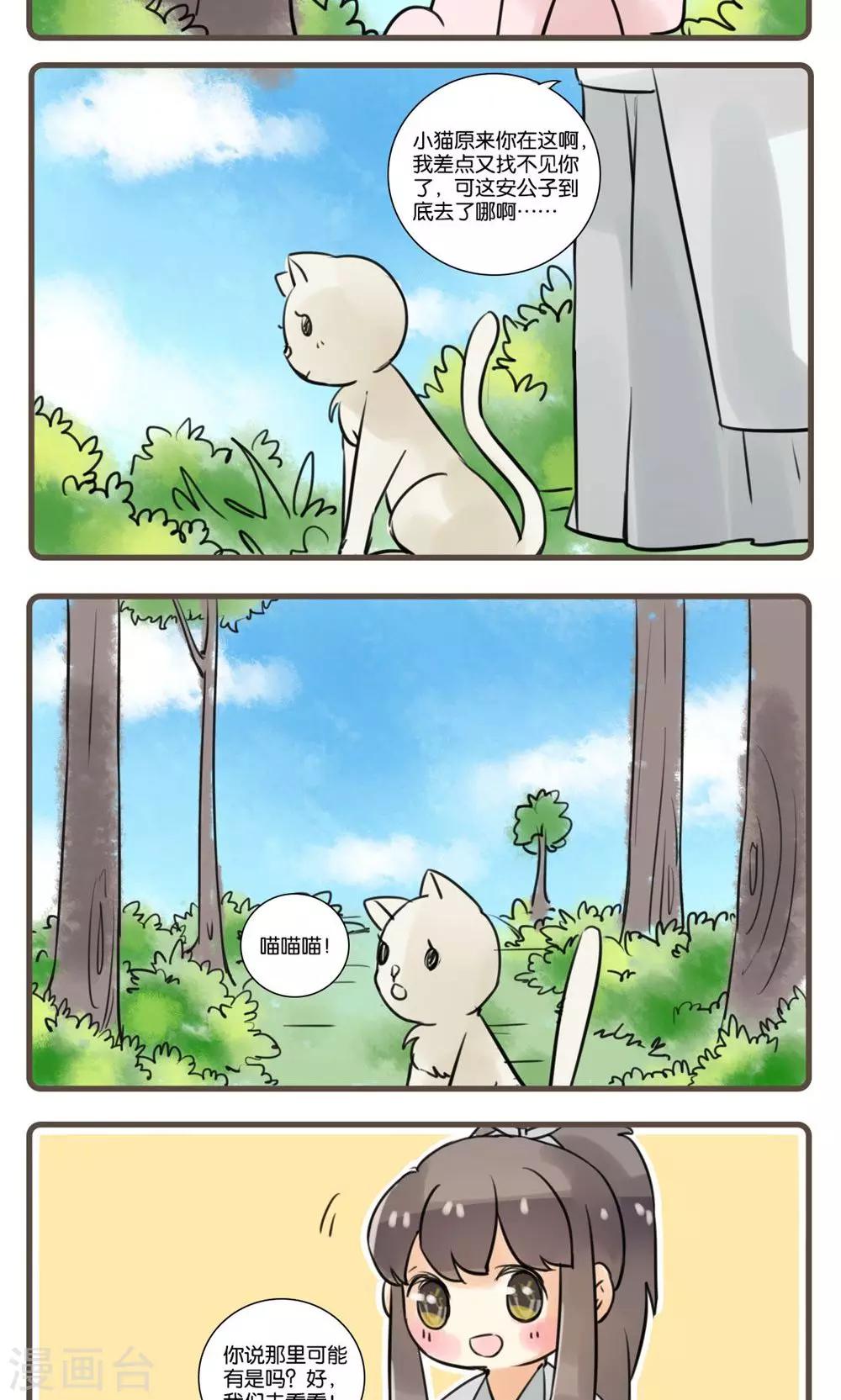 17.jpg