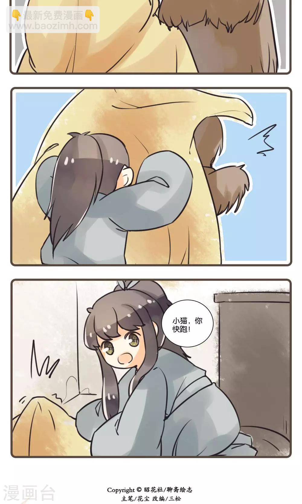 9.jpg