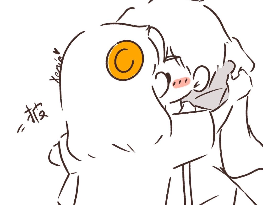24.jpg