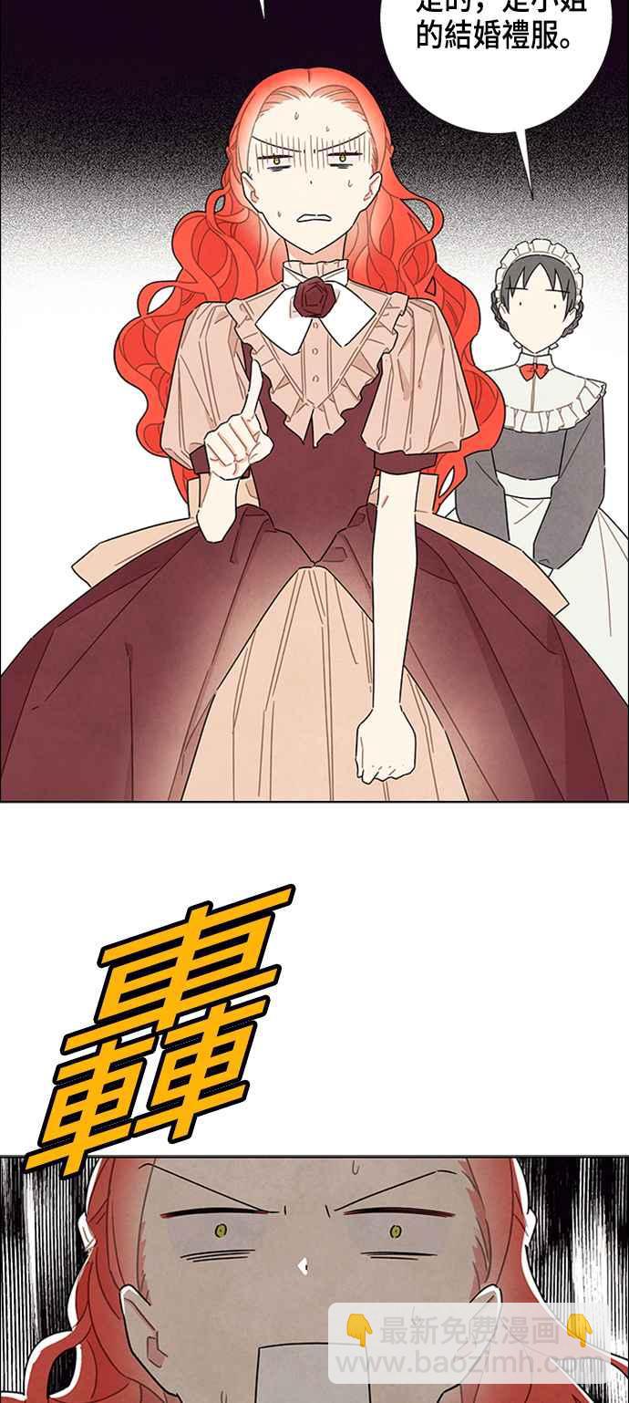 47.jpg