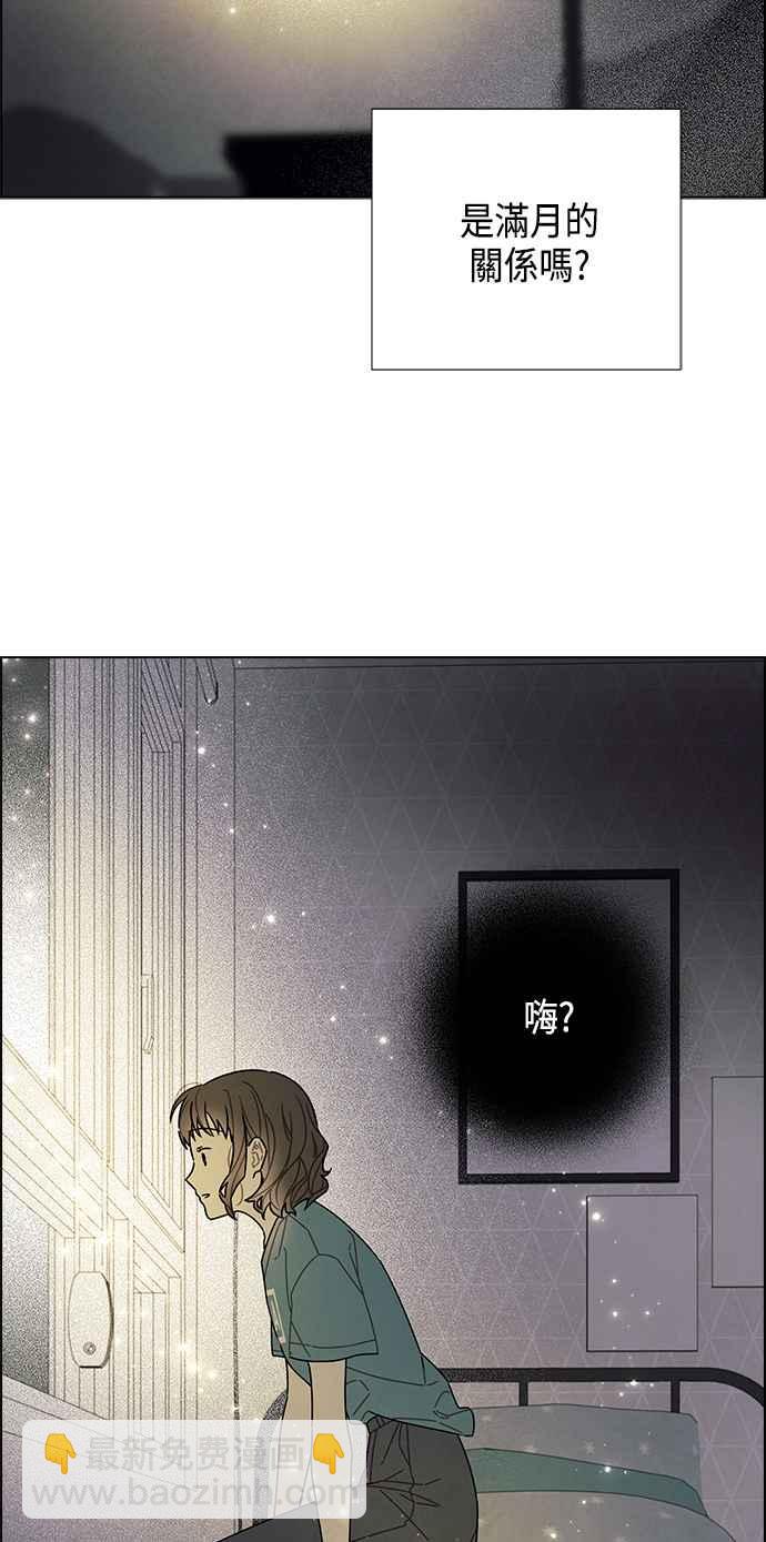 47.jpg