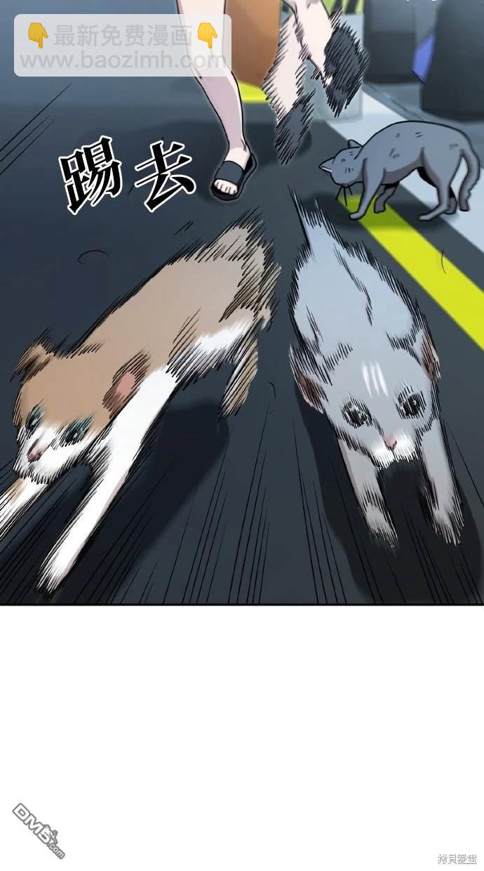33.jpg