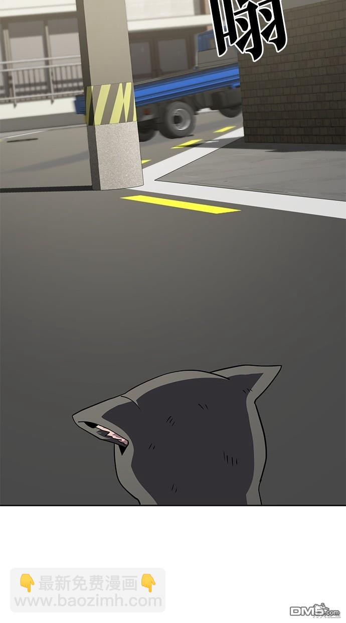 46.jpg