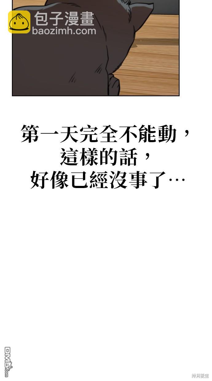 48.jpg