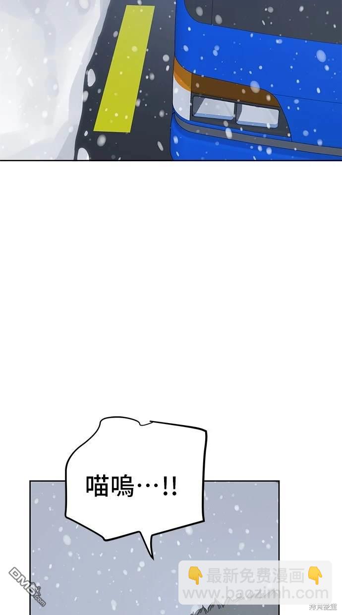 48.jpg