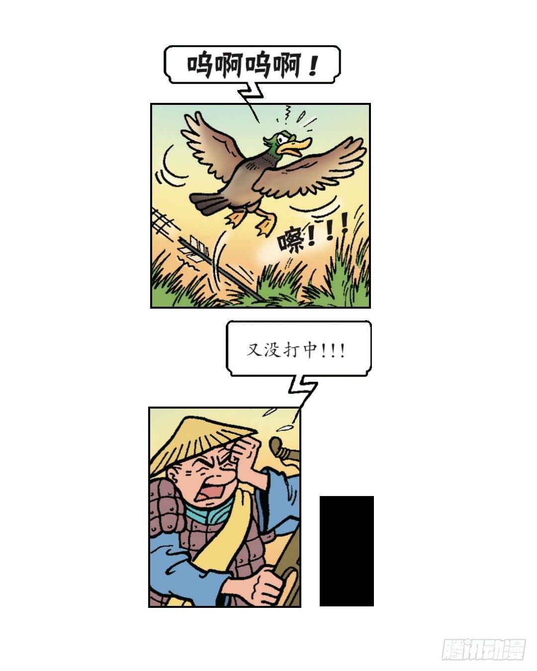 16.jpg