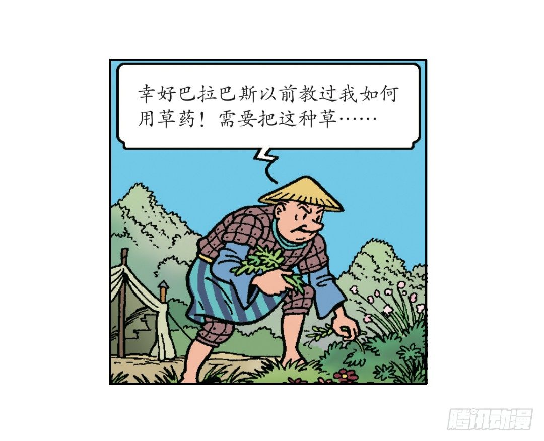 11.jpg